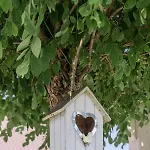 Baltiq Spot Prázdninový dům