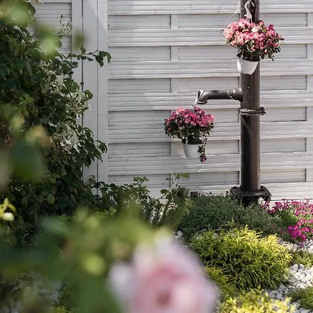 בית נופש Baltiq Spot רווה