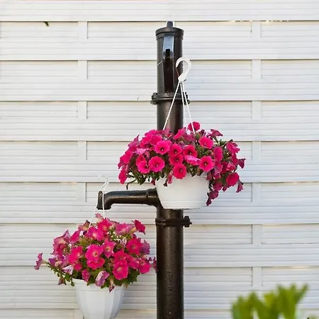 Baltiq Spot * רווה