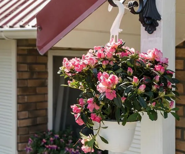 بيت للعطل Baltiq Spot