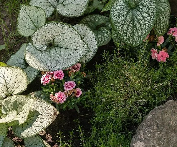 Baltiq Spot بيت للعطل ريوا