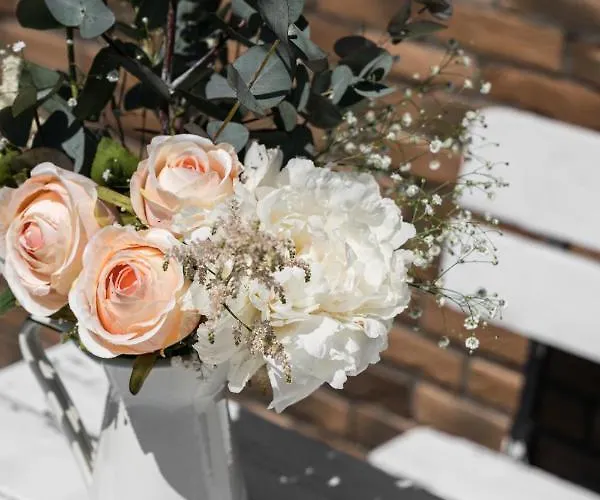 Baltiq Spot Nyaraló