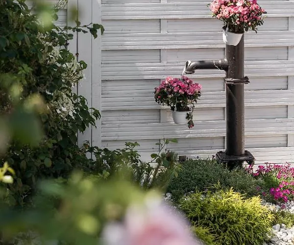 בית נופש Baltiq Spot רווה