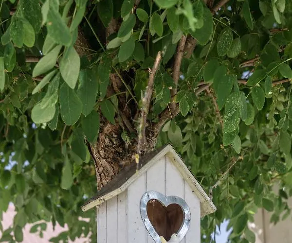 Baltiq Spot בית נופש